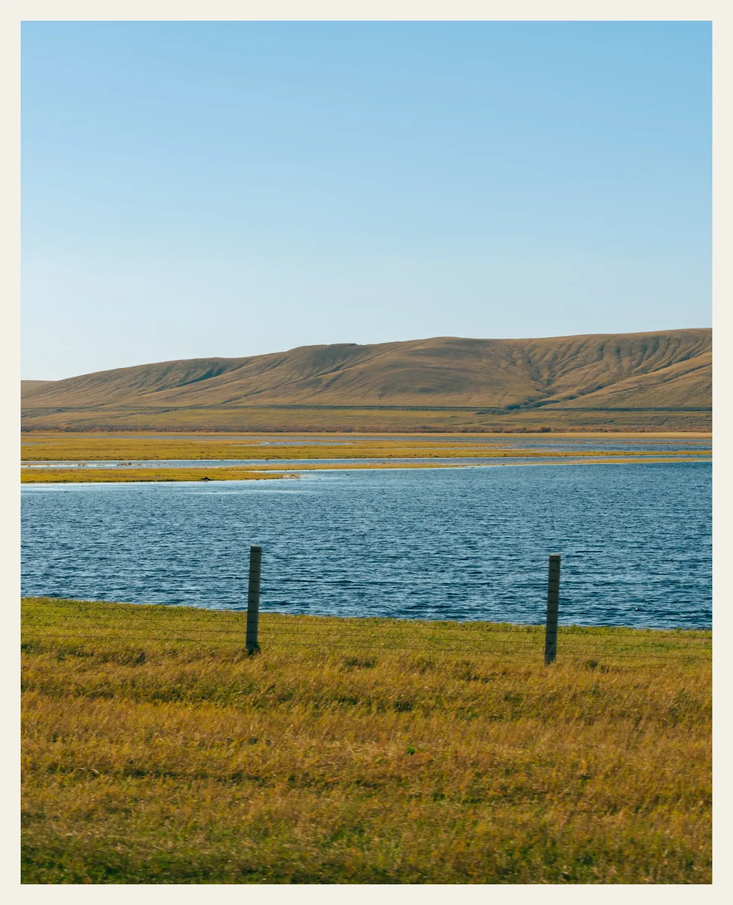 Roamgrain frame 40