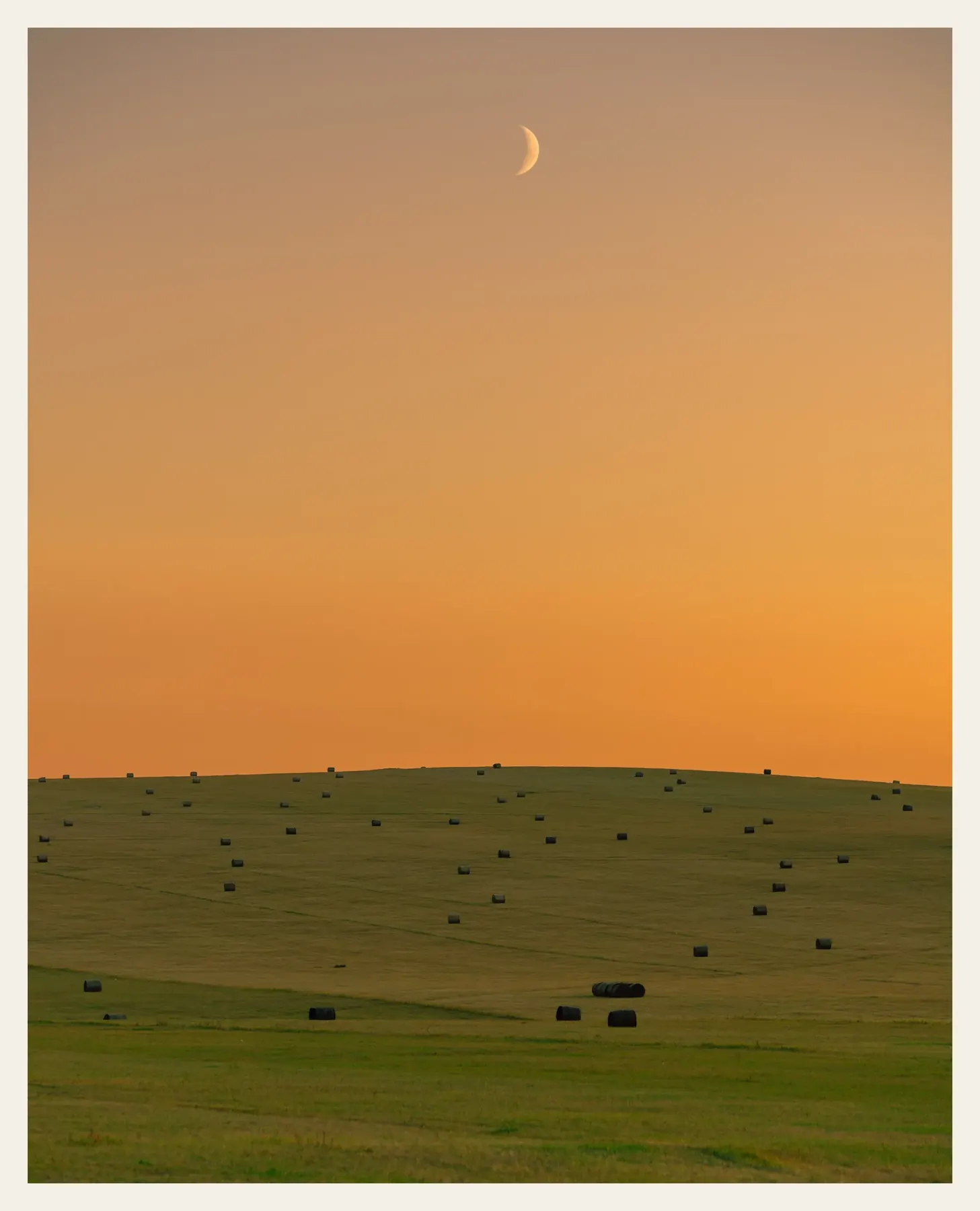 Roamgrain frame 41